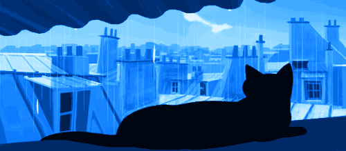 A black cat resting on a windowsill, looking out over blue city rooftops in the rain